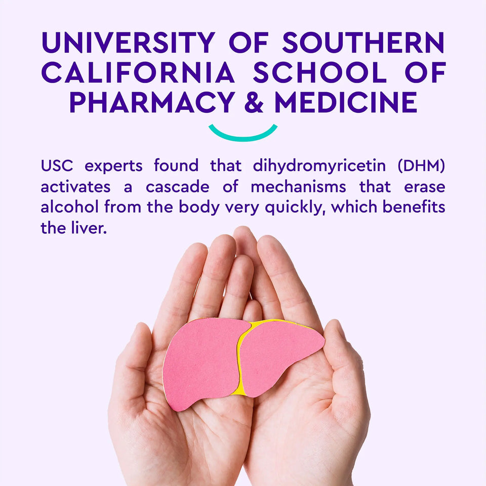 Upside Hangover Jelly Starter (4 Pack) - UpSide SG